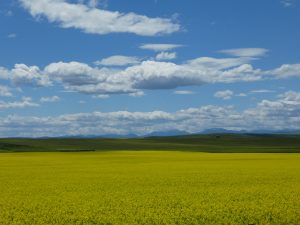Nanton -> Park