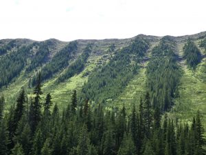 Highwood Pass Highway