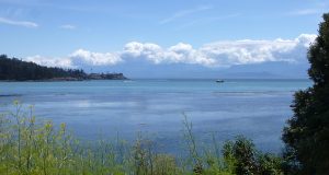 Sooke