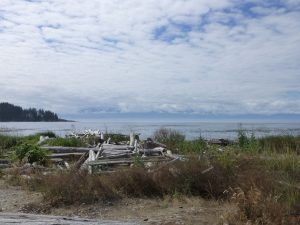 Sooke