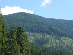 Kootenay Lake nördl. Creston