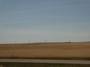 Weizenfelder in Montana