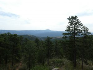 Pike National Forest