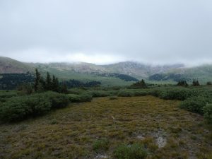 Guanella Pass CO