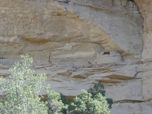 Escalante UT--Cannonville