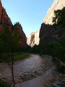 Zion National Park UT