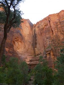 Zion National Park UT