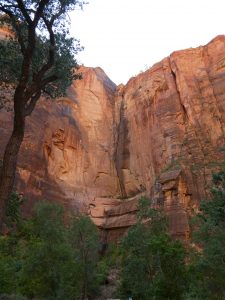 Zion National Park UT