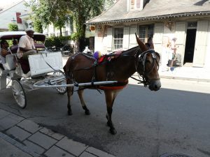 New Orleans, French Quarter