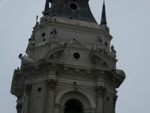 Lima, Kathedrale, Geier