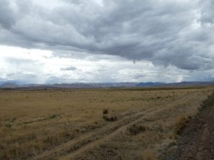 Cusco--Puno