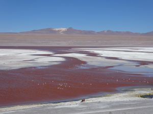 Laguna colorada