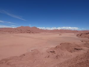 Tolar Grande--Salar de Pocitos, Desierto del Diablo
