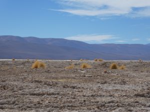 Salar de Pocitos