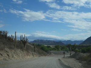 Cachi--Molinos