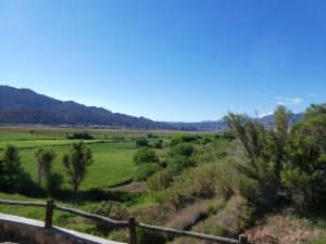Finca El Carmen