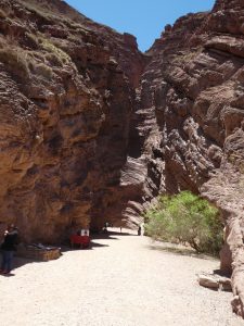 Cafayate--Alemania