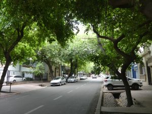 Mendoza