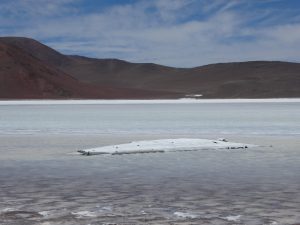 Laguna Brava