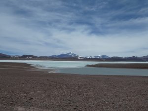 Laguna Brava