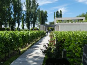 Mendoza: Chandon