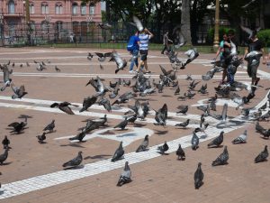 Buenos Aires
