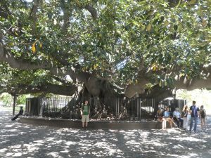 Buenos Aires, Ricoleta