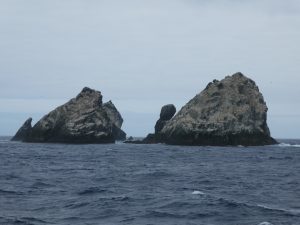 Shag Rocks