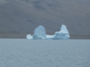 South Georgia: Fortuna Bay