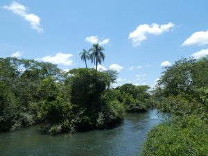Iguazu
