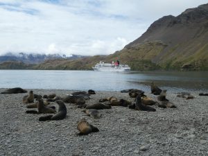 South Georgia: Stromness