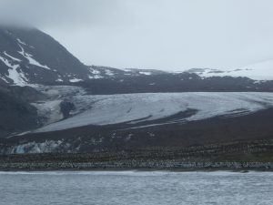 South Georgia: St-Andrews Bay