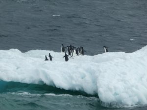 South Orkney Islands: Normanna Strait