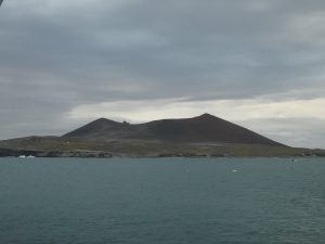 Penguin Island