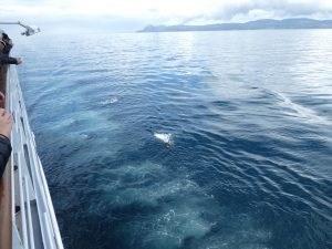 Drake Passage