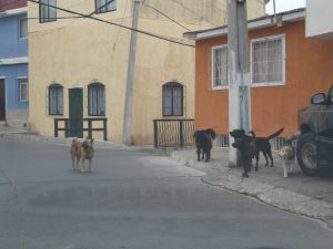 Valparaiso